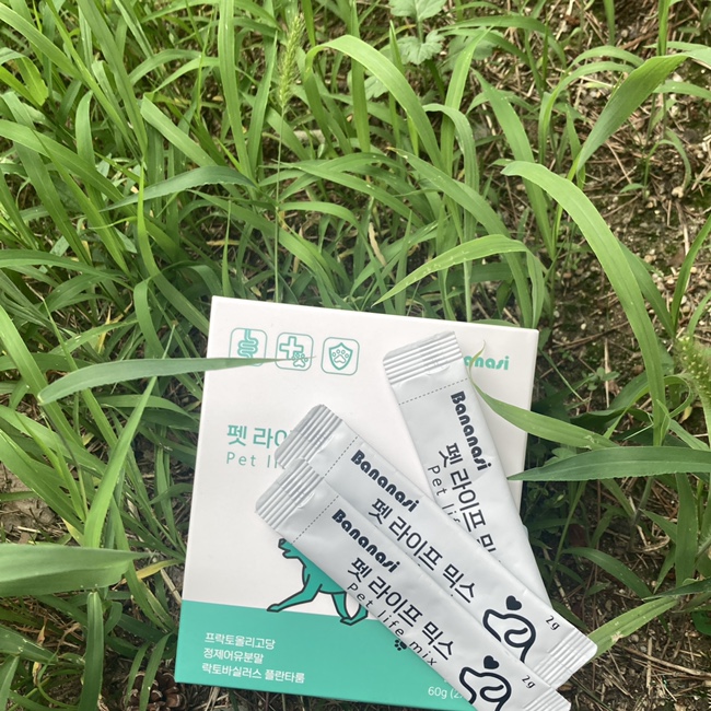  바나나시 반려동물 "하루스틱" 종합영양제 하루에 한포 하루스틱