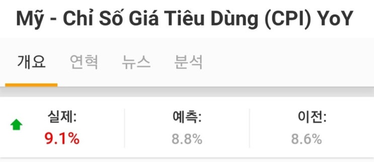  미국 소비자물가지수 CPI 9.1% 41년 만에 최고