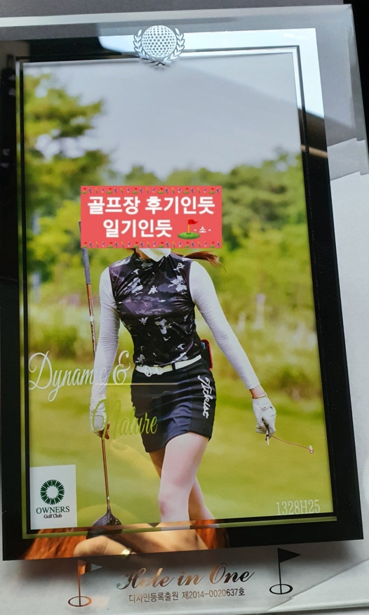  여성골프웨어 추천(팜스프링스 골프웨어 여성 전판 밀리터리 패턴 나시)