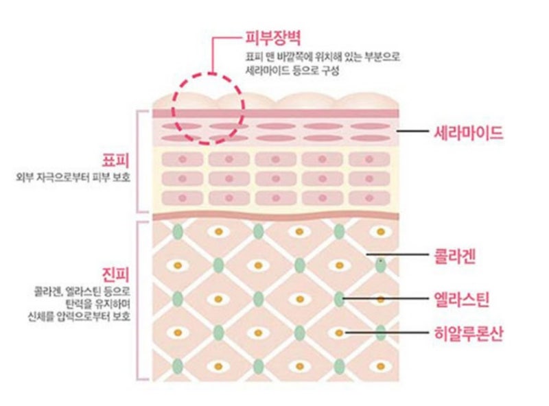 내돈의 내산 닥터 린 세라마이드 (광고아님)