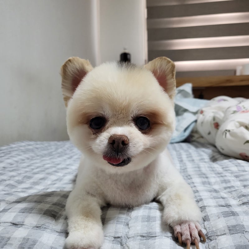 사진 2