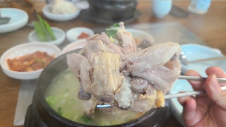 제주 삼양동맛집 삼양장원 복날엔 삼계탕 국룰