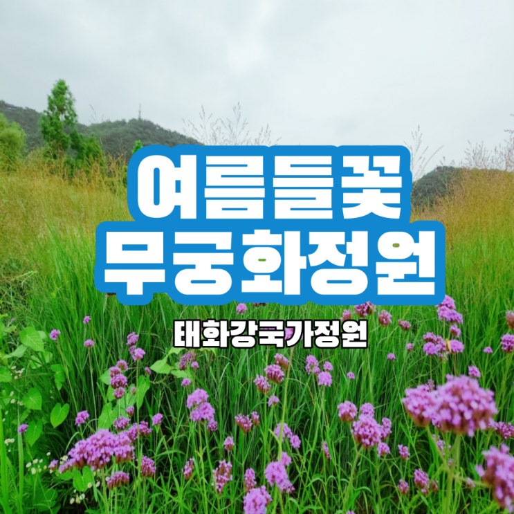  무궁화가 피었어요. 태화강 국가정원