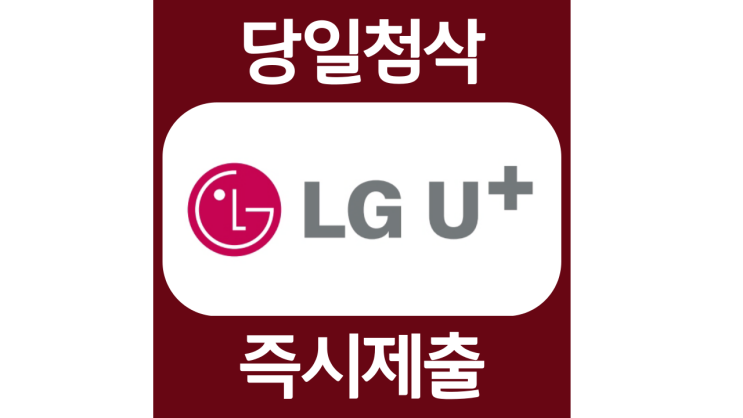 LG유플러스 22년 SW개발자 인턴채용 자소서항목 자기소개서 문항 작성방법 첨삭받기 LG유플러스 22년 SW개발자 인턴채용 자소서항목 자기소개서 문항 작성방법 첨삭받기