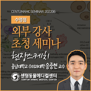  수영점 / 2022년 6월 외부 강사 초청 세미나 현장스케치 / 충남대학교 수의과대학 송중현 교수 (센텀동물메디컬센터)