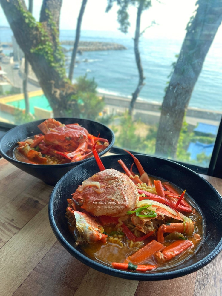  [경주 감포 맛집] 강력추천! 홍게라면 맛집 '나정에가면'
