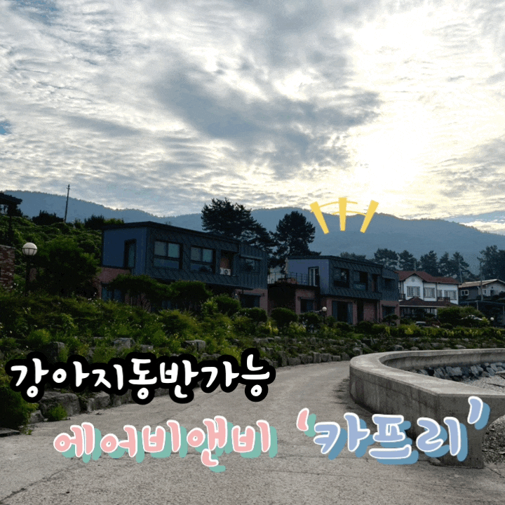  [남해반려견동반숙소추천]남해여행에서 최고의 뷰는 숙소앞️. 내돈내산 남해 에어비앤비 숙소 카프리