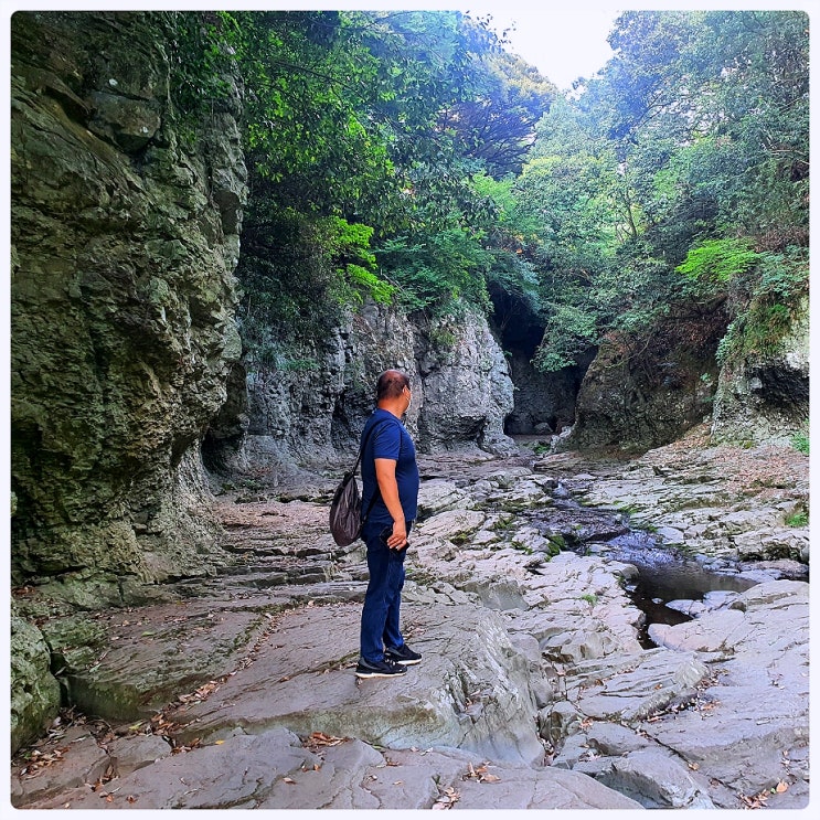  제주도 트레킹 올레길 7코스 안덕계곡