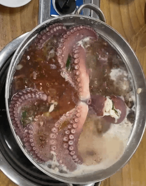  울산 방어진 문어이야기, 체력 충전이 필요한 날 보양식 먹으러 가보자