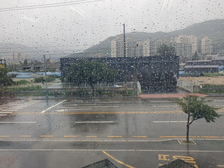  비오는 수요일