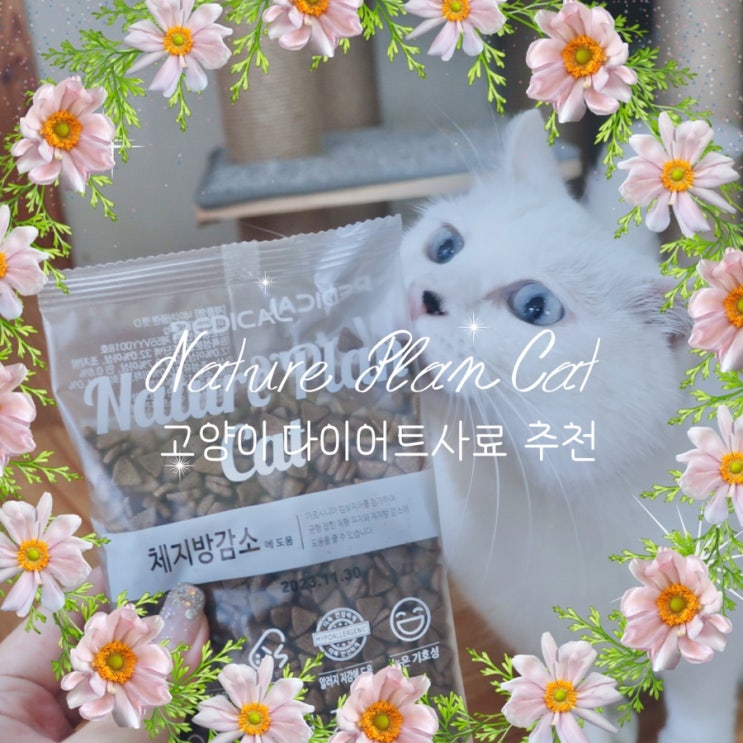  고양이사료추천 끌레르펫 네이처플랜 캣 체지방감소 고양이다이어트사료