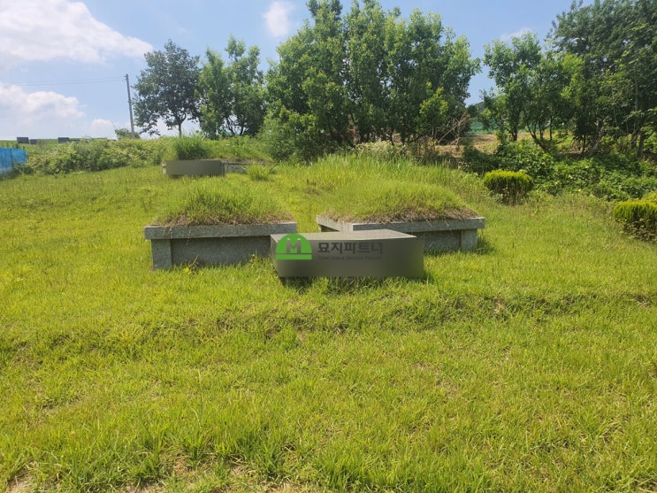 토지소유자 허락없이 설치한 묘지 강제철거 승소판결문이 있다면? (불법묘지)