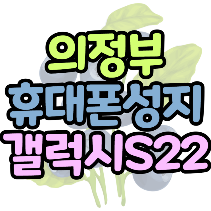갤럭시S22 의정부휴대폰성지에서 공짜로 만난 썰 갤럭시S22 의정부휴대폰성지에서 공짜로 만난 썰