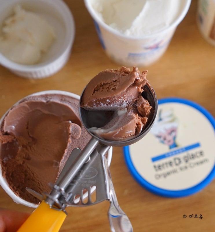 유기농 아이스크림 아이와 함께 먹기 좋은 떼르드글라스 아이스크림