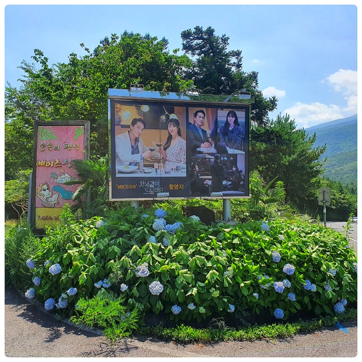  저녁같이드실래요 드라마 촬영지 예이츠산장 휴애리 자연생활공원 맛집 야외수영장 물놀이 서귀포 수제 햄버거 황금빅버거