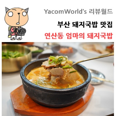 부산 돼지국밥 맛집 연산동 엄마의 돼지국밥 얼큰한 맛!