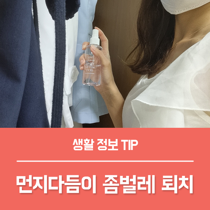  먼지다듬이 퇴치 좀벌레 제거 BEST 8