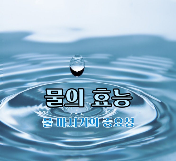  물 마시기 물의 효능에 대해 알아보아요