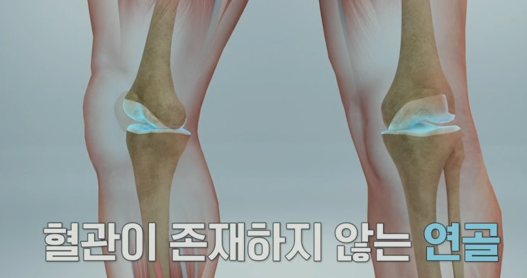  걷기운동효과 보는법
