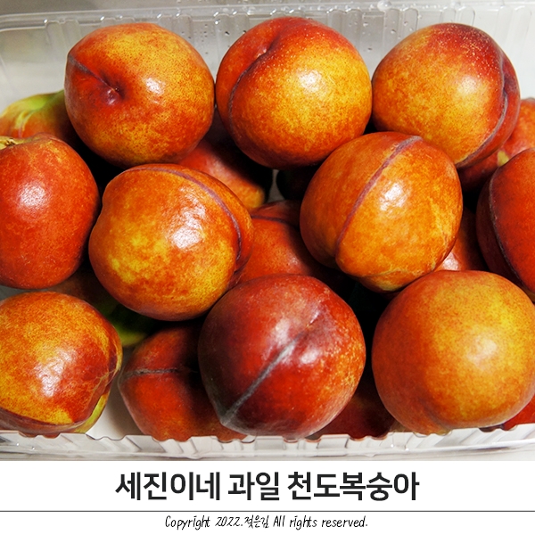 온누리팔도시장 세진이네과일 천도복숭아 주문했어요 온누리팔도시장 세진이네과일 천도복숭아 주문했어요
