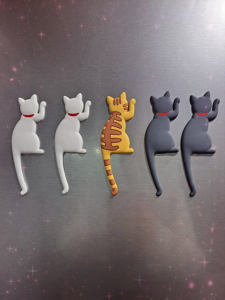 데몬렉스 고양이 (모카) 데몬렉스 고양이 (모카)