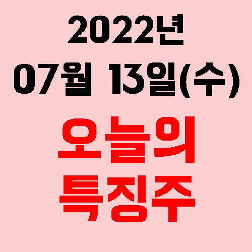  오늘의 시장 특징주 2022년 07월 13일(수)