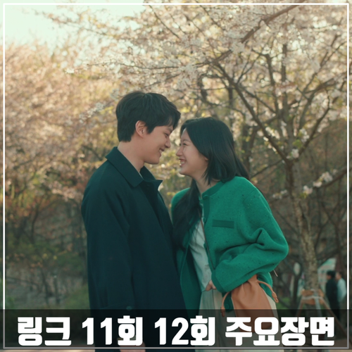  tvN드라마 <링크> 11회-12회 줄거리 주요장면