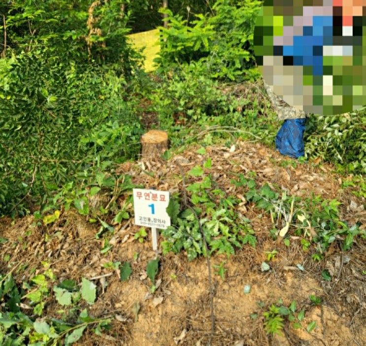  2022년 경북 김천시 대항면 덕전리 무연분묘 공고후 선산공원묘원 납골당안치 고인돌장묘개발 #장의사 #무연분묘 #선산공원묘원 #납골당
