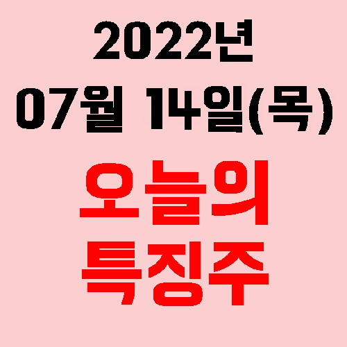  오늘의 시장 특징주 2022년 07월 14일(목)