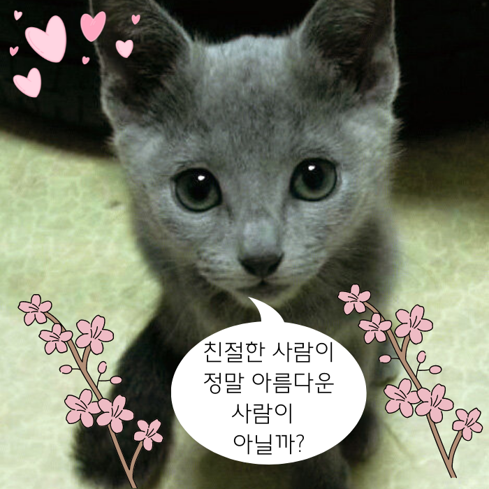  [명언. 시] 칼릴 지브란 명언 2개, 헤르만 헤세 시 "안개 속에서"