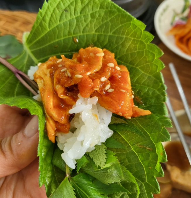 평창 휘닉스파크 애견동반 맛집으로 유명한 삼성우렁촌 식사후기