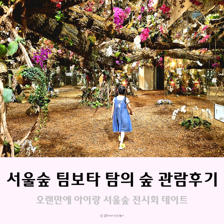 서울숲 탐의 숲 팀보타 머스타드블루 아이랑 관람 후기 서울숲 탐의 숲 팀보타 머스타드블루 아이랑 관람 후기