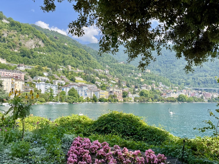  [영국워킹홀리데이] +284 스위스 Montreux
