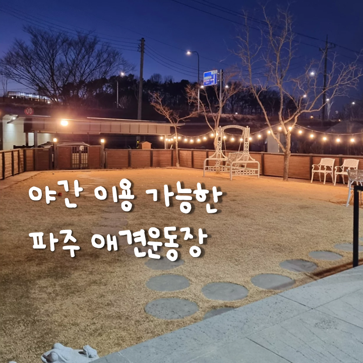  댕댕이와 바베큐 파티 파주 애견운동장