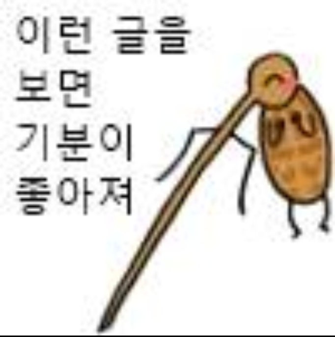  [강력추천] 벼룩파리(초파리)박멸기 (분노주의)끈끈이, 살충제 박멸템 추천!!(초파리싹,초파리제로)