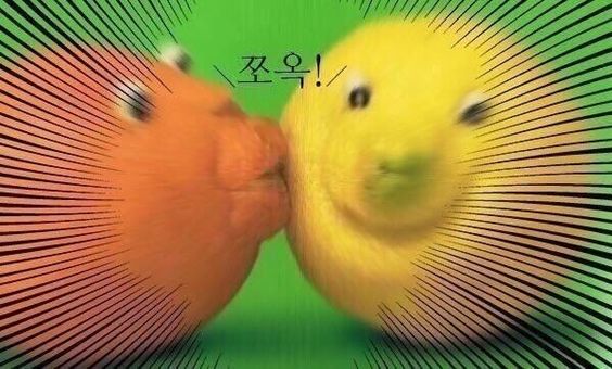  네이버 블로그 주간일기 - 7월 2주차