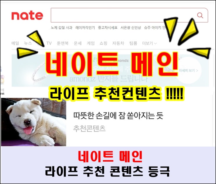  네이트 메인 라이프 추천콘텐츠 등극! 네이버 메인에 이어 네이트 메인까지!!??