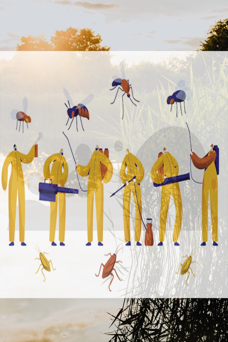 해충 모기 관련주 무더위 기승에 국제약품 명문제약 성보화학 태양 동화약품 보령 경남제약 주가 상승 : 네이버 블로그