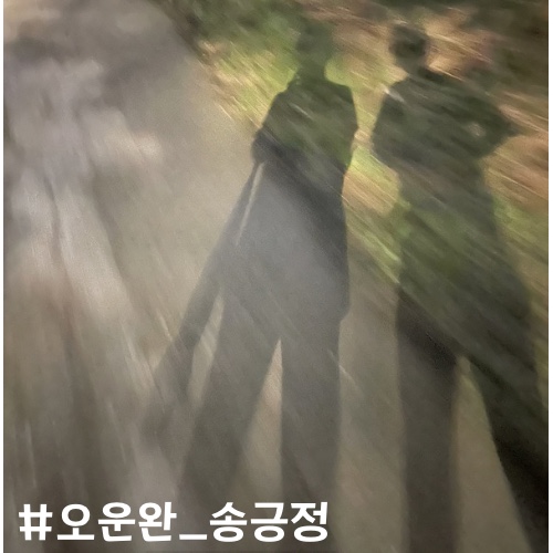 전주천에서 밤 산책 & 전주 신시가지 마실_전주천 야경_와인 구경_오운완c