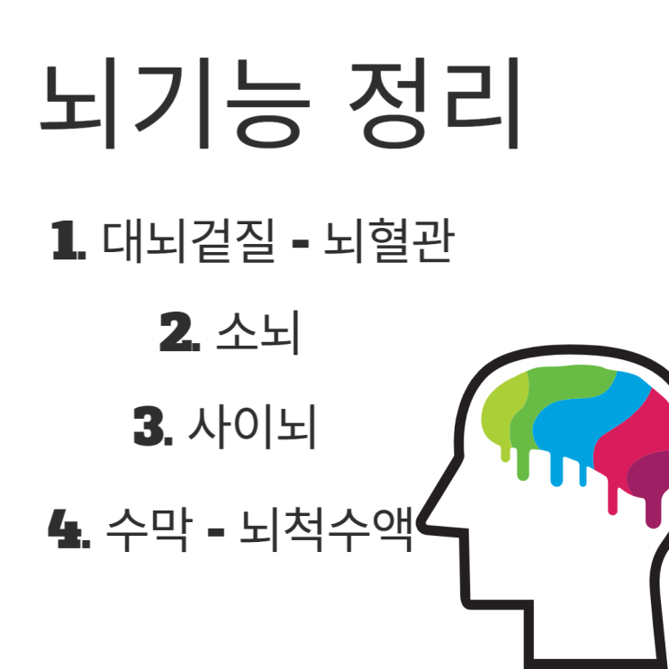  간단한 부위별 뇌기능 정리(대뇌겉질-뇌혈관, 소뇌, 사이뇌, 수막-뇌척수액)