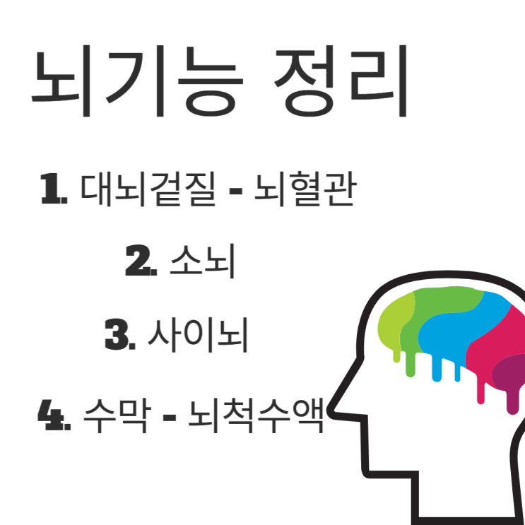 간단한 부위별 뇌기능 정리(대뇌겉질-뇌혈관, 소뇌, 사이뇌, 수막-뇌척수액)