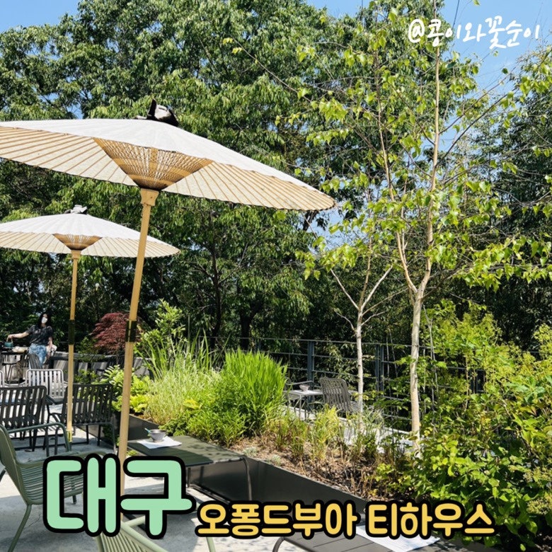 네이버 인플루언서 [네이버 인플루언서] 콩이와꽃순이의 가창오퐁드부아