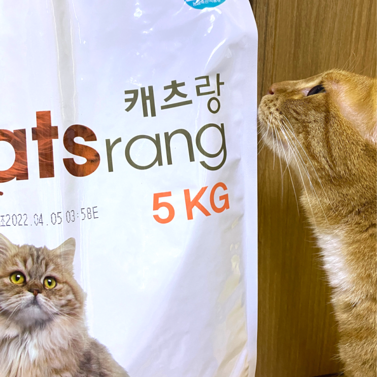 고양이 사료 : 캣츠랑 5kg / 내돈내산 솔직한 후기