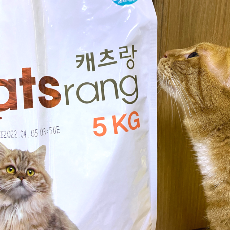  고양이 사료 : 캣츠랑 5kg / 내돈내산 솔직한 후기