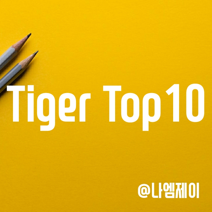 국내 우량주 투자 추천 - Tiger Top10 ETF (타이거) 국내 우량주 투자 추천 - Tiger Top10 ETF (타이거)