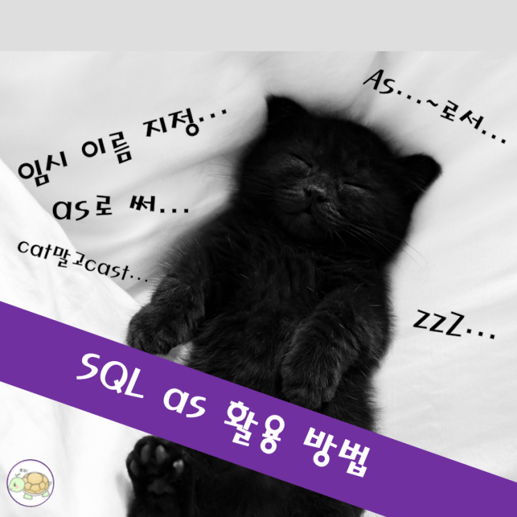  SQL as 의 활용 - 임시 이름과 cast