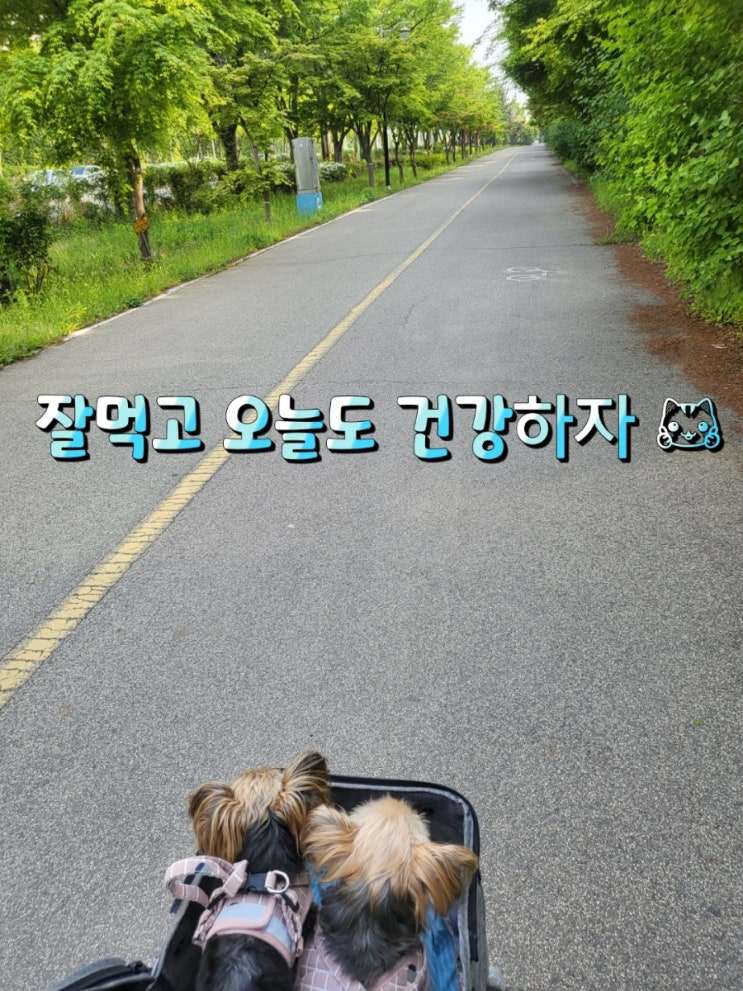  잘 먹고 오늘도 건강하자 