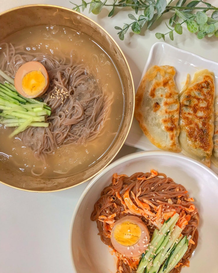  평양냉면 밀키트 플랜 88 옥류관