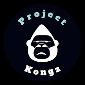 메타콩즈(Meta Kongz) 오늘도 디스코드 해킹 주의할 점은?