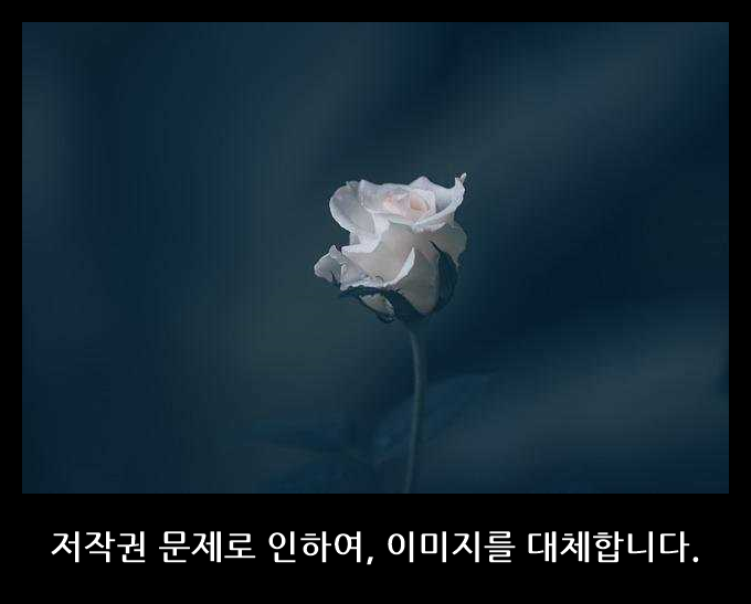 내일 휴도 푹신한 제주 독립스프링 롤팩 롤링 포켓스프링 침대 매트리스 싱글 슈퍼싱글 퀸 ....